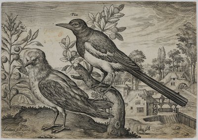 Old Master Engraving by Adriaen Collaert